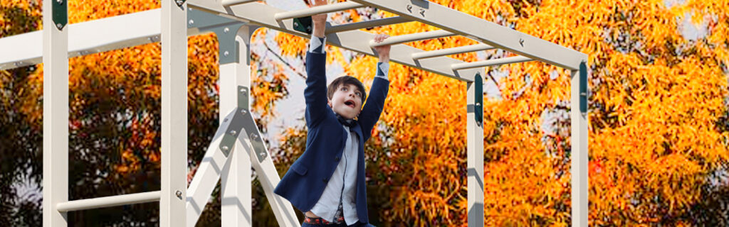 monkey bars